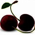 گیلاس سیاه Black Cherry